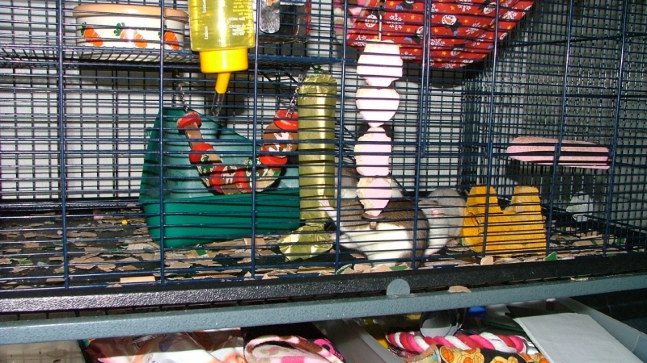 dscf6730.jpg