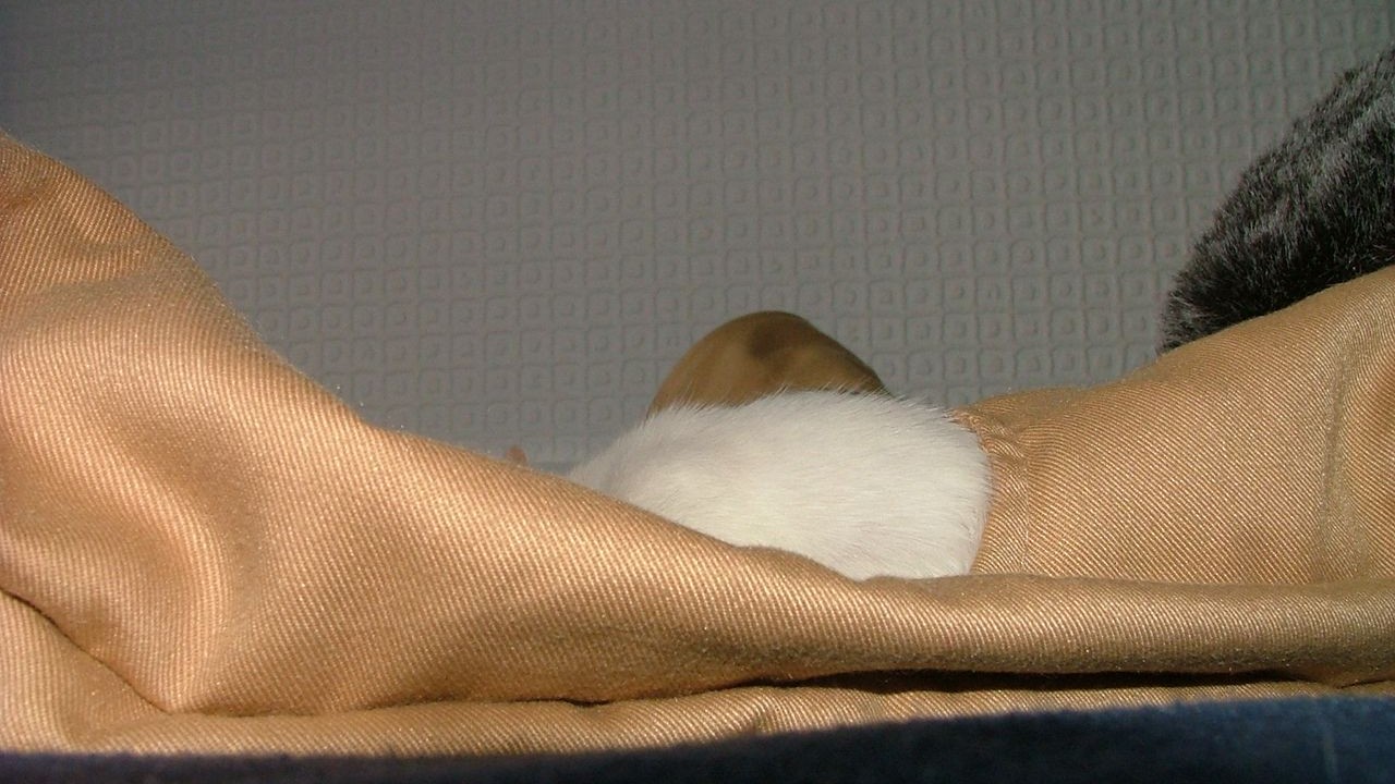 DSCF3933.JPG
