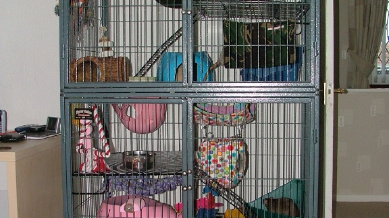 dscf6321.jpg