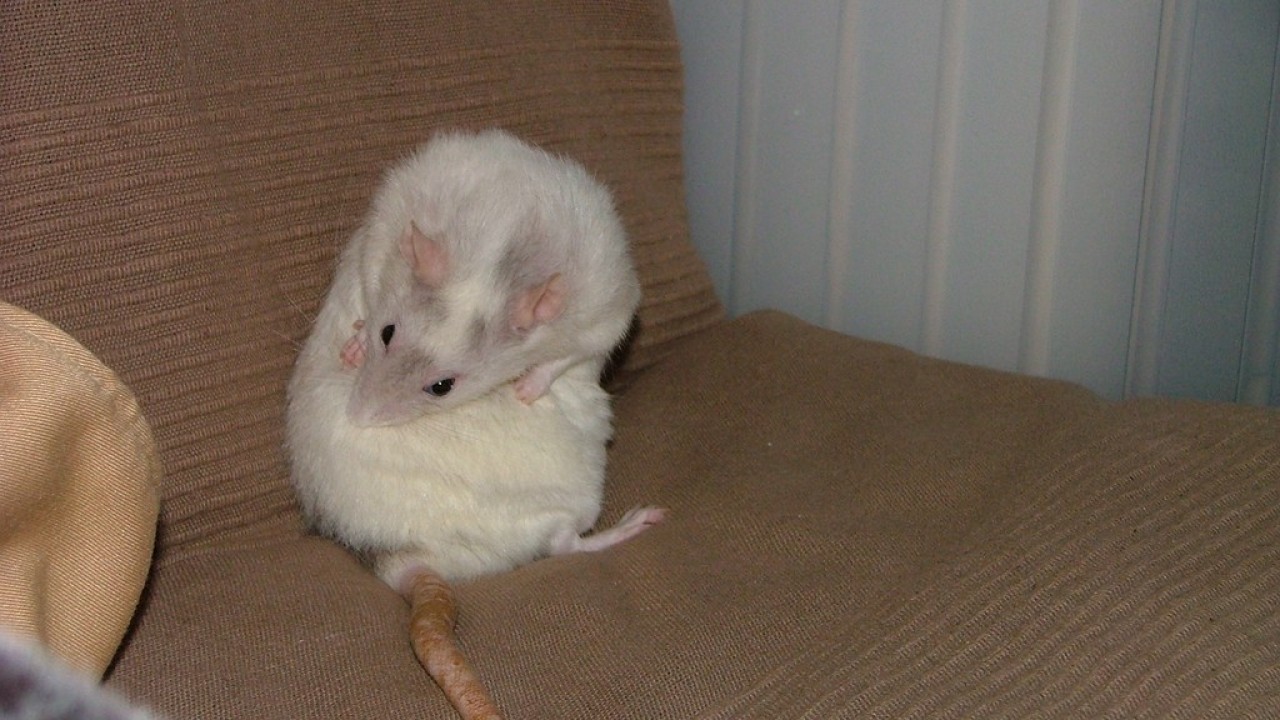 DSCF4745.JPG