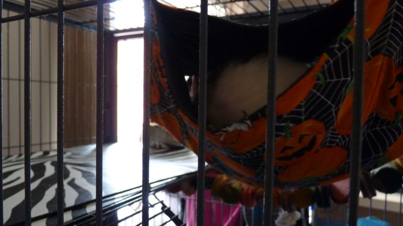 P1000758.JPG