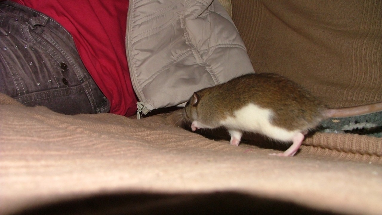 dscf6647.jpg