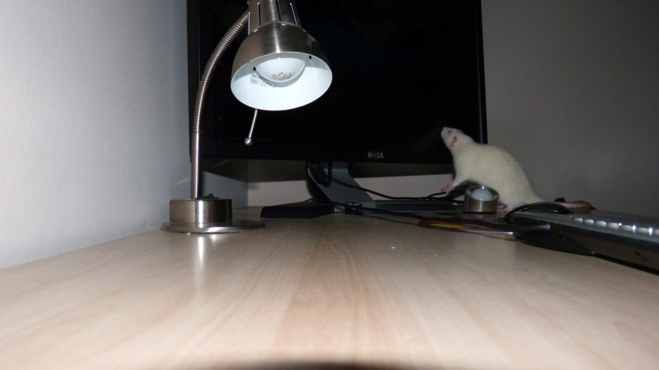 p1000880.jpg