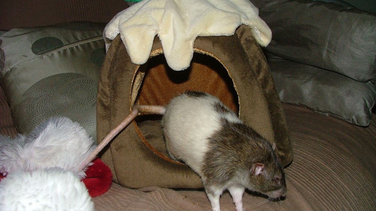 DSCF6713.JPG