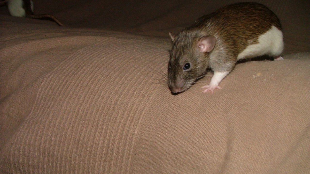 dscf6909.jpg