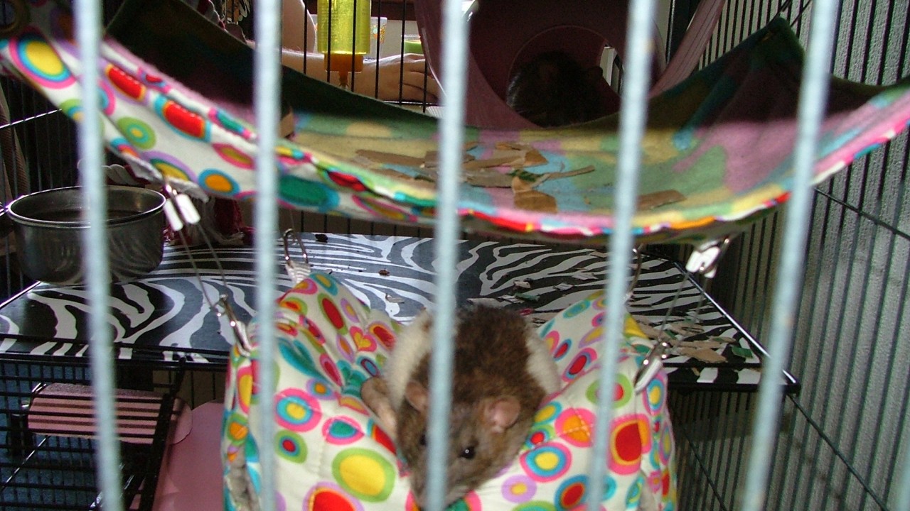 dscf6513.jpg