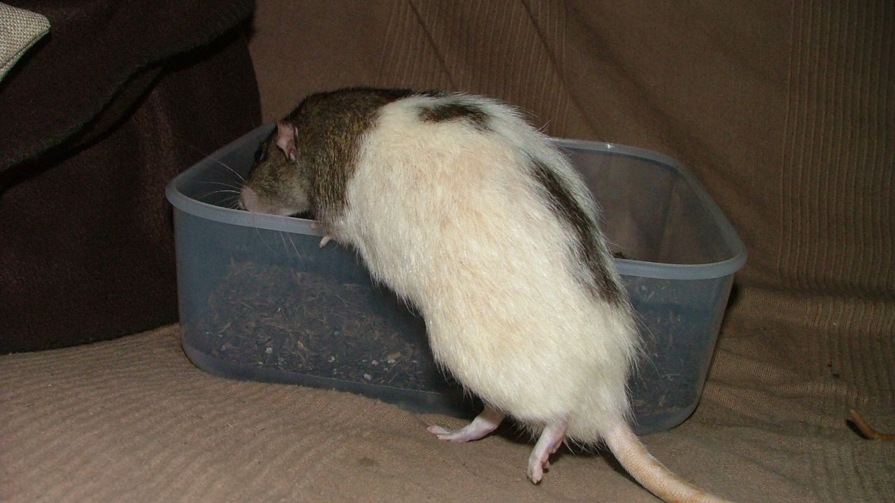 DSCF6725.JPG