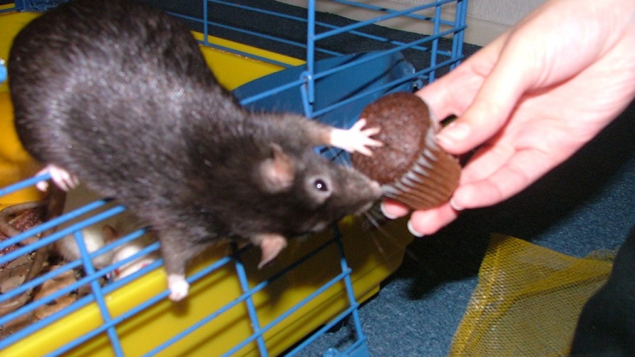 DSCF4260.JPG