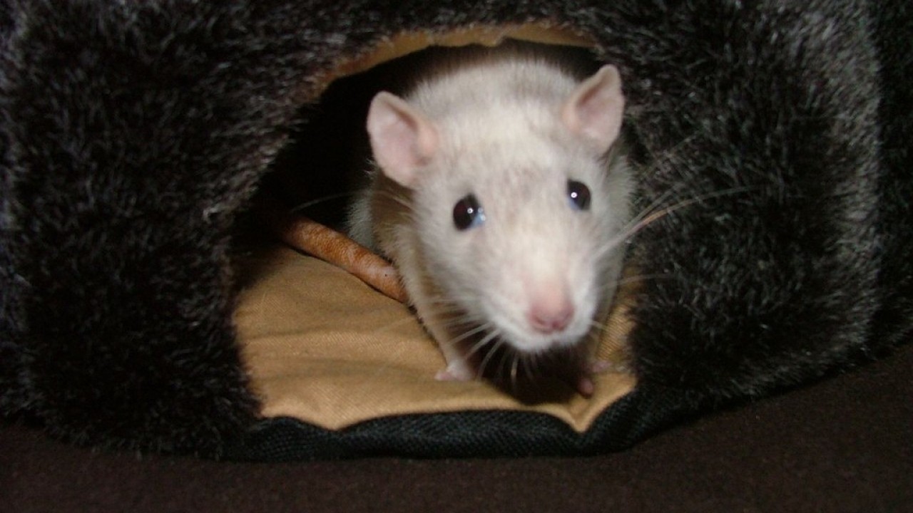 DSCF5537.JPG