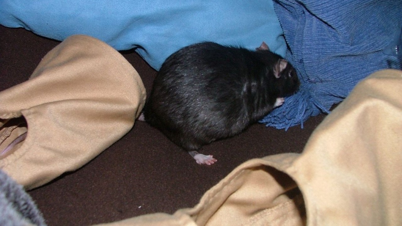 DSCF5542.JPG