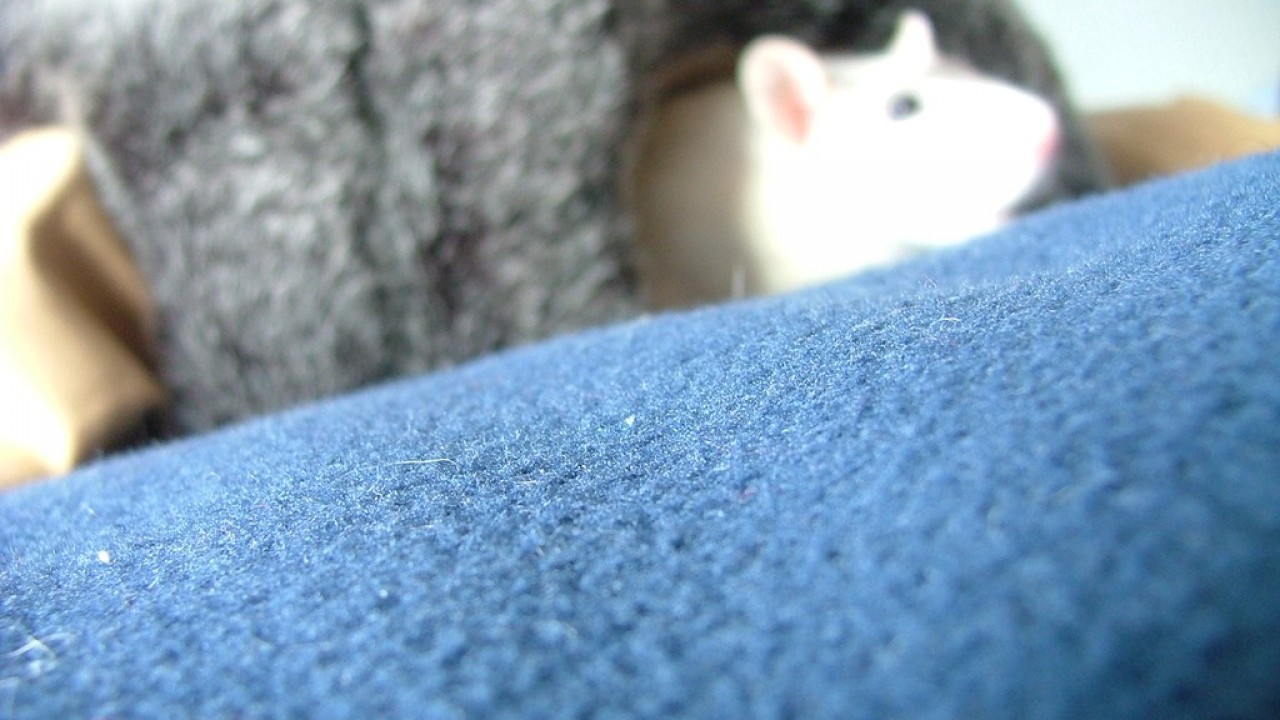 DSCF3944.JPG