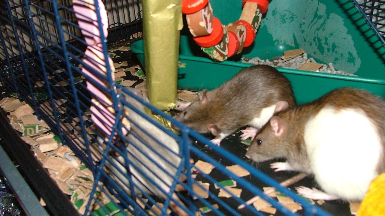 DSCF6732.JPG