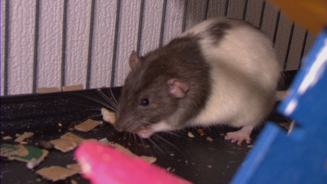 DSCF6181.jpg