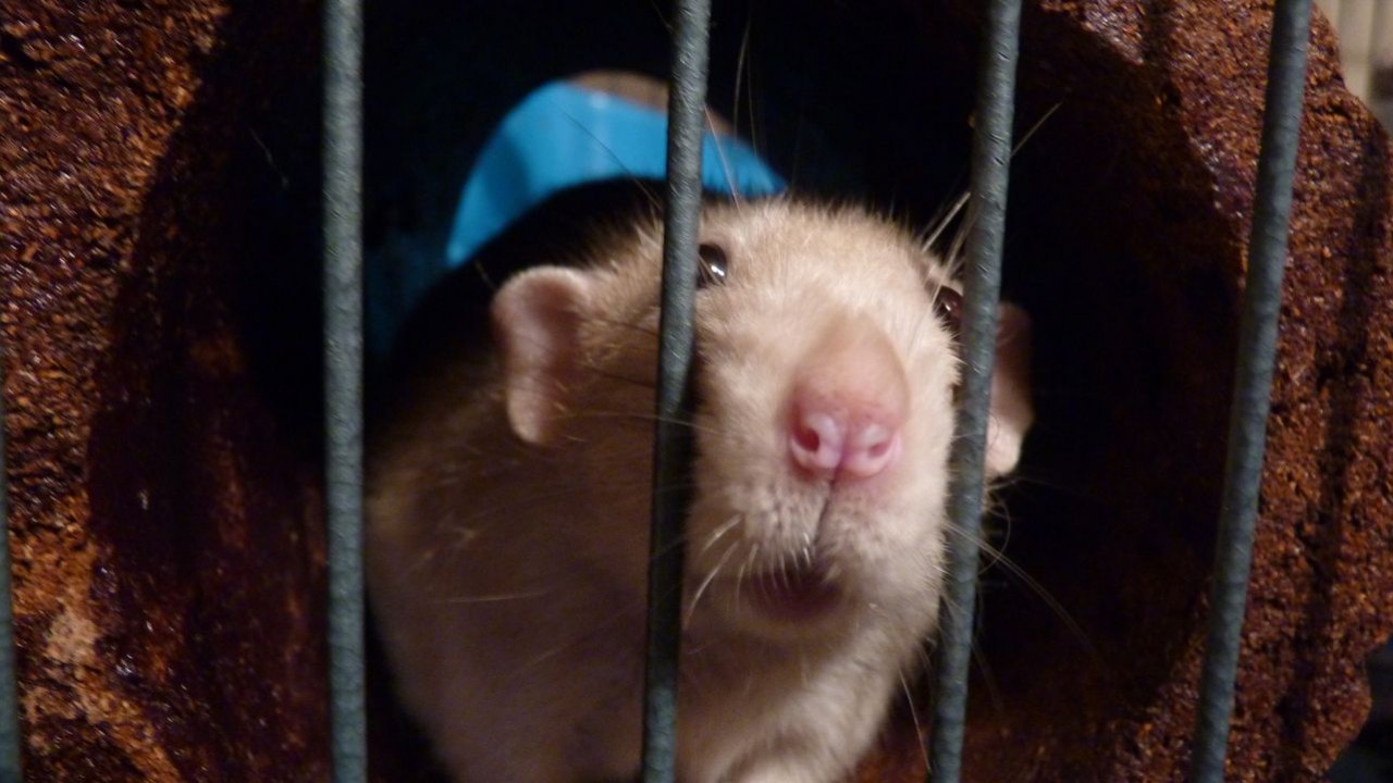 P1000748.JPG