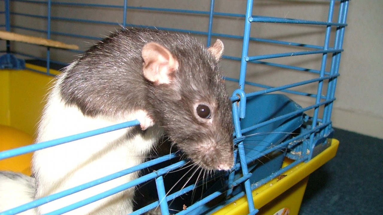 DSCF4278.JPG
