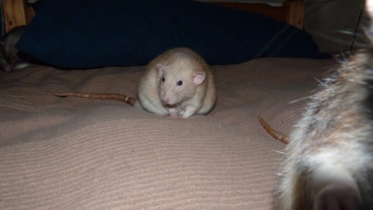 P1000381.JPG