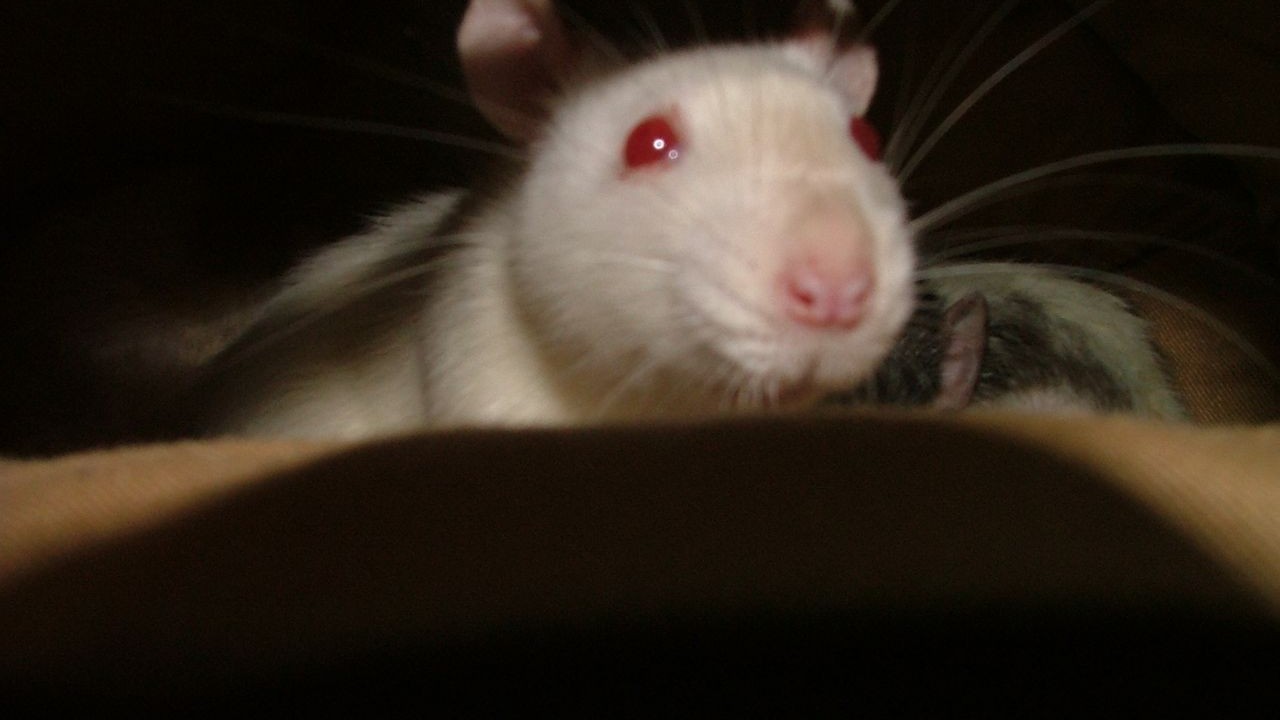 DSCF3929.JPG