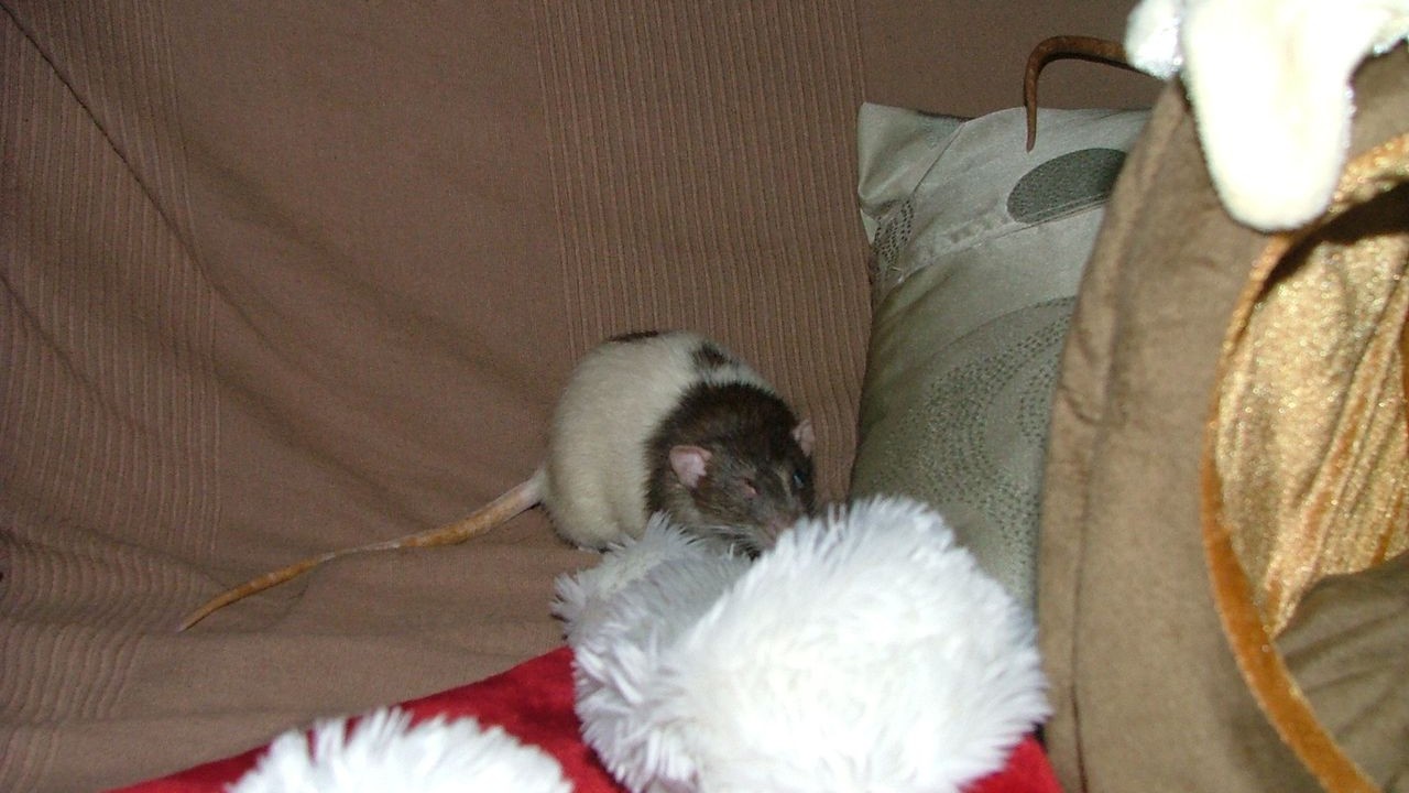 DSCF6722.JPG