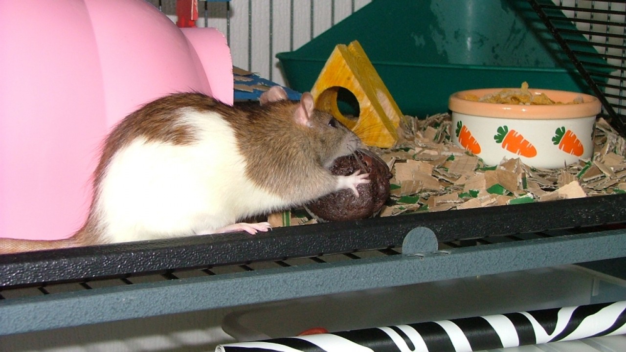 dscf6347.jpg