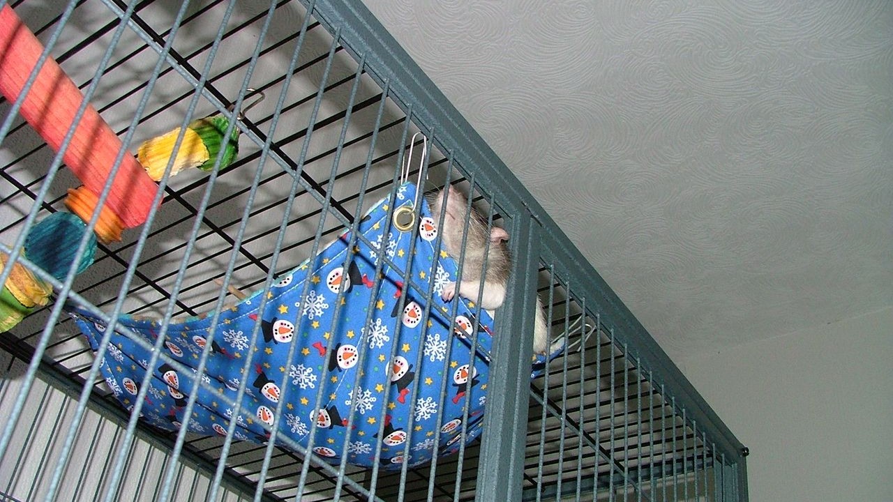 DSCF6755.JPG
