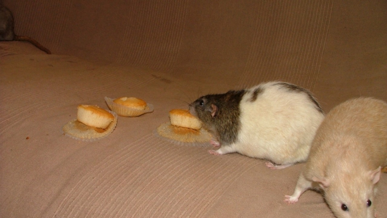 dscf6886.jpg
