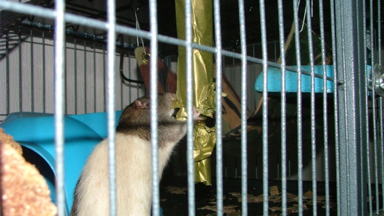 dscf6753.jpg