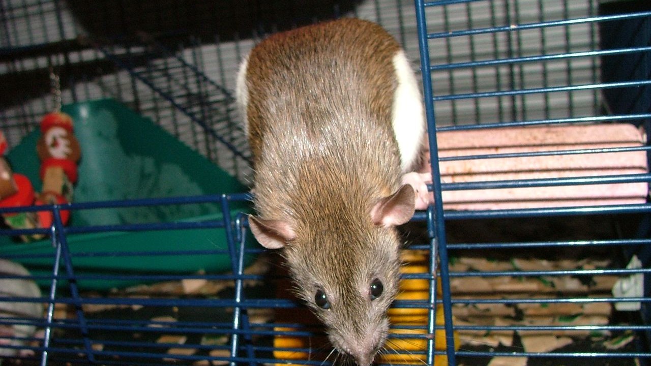DSCF6742.JPG