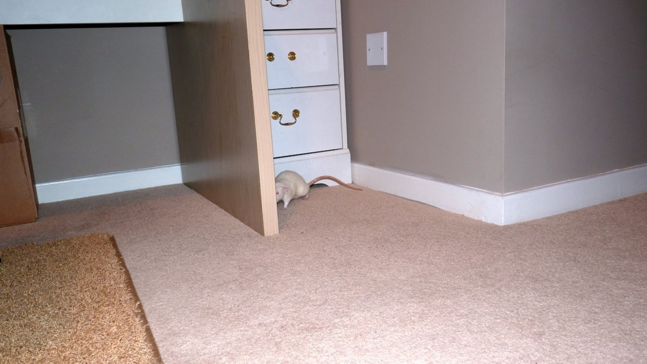 p1010010.jpg