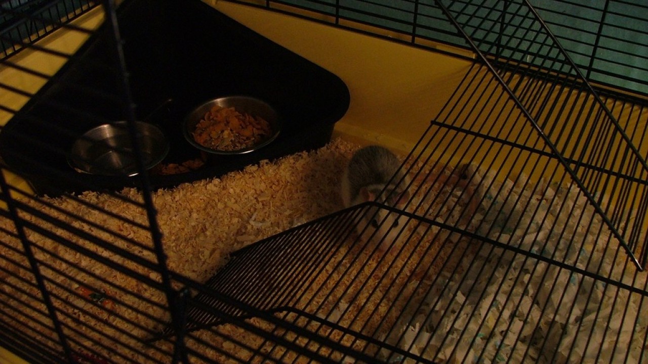 DSCF1527.JPG