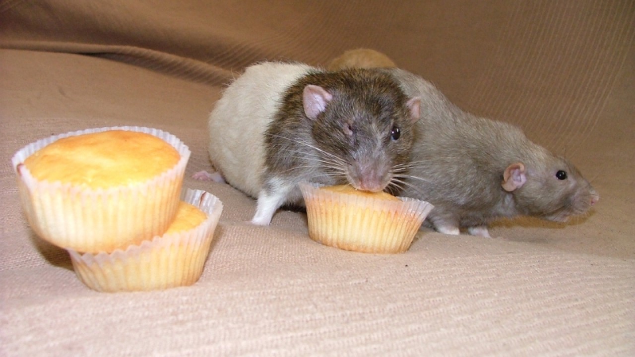 dscf6880.jpg