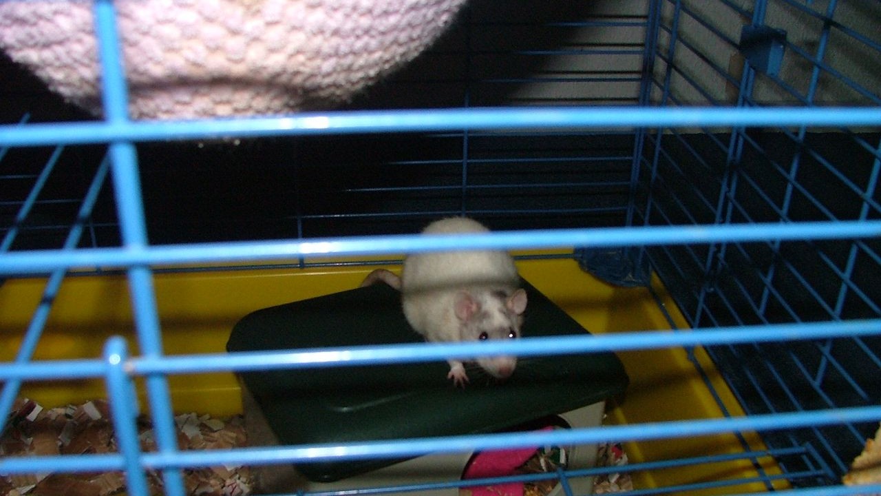 DSCF3879.JPG