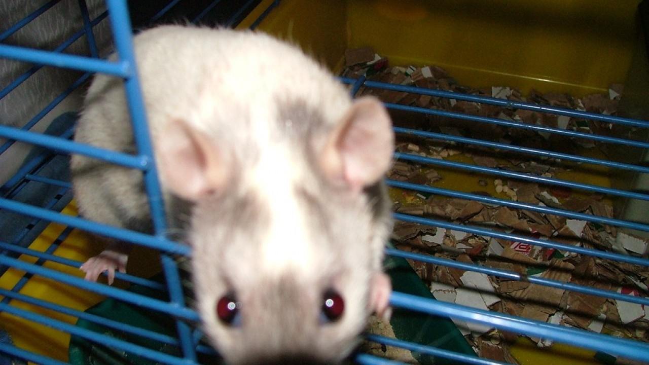 DSCF3892.JPG