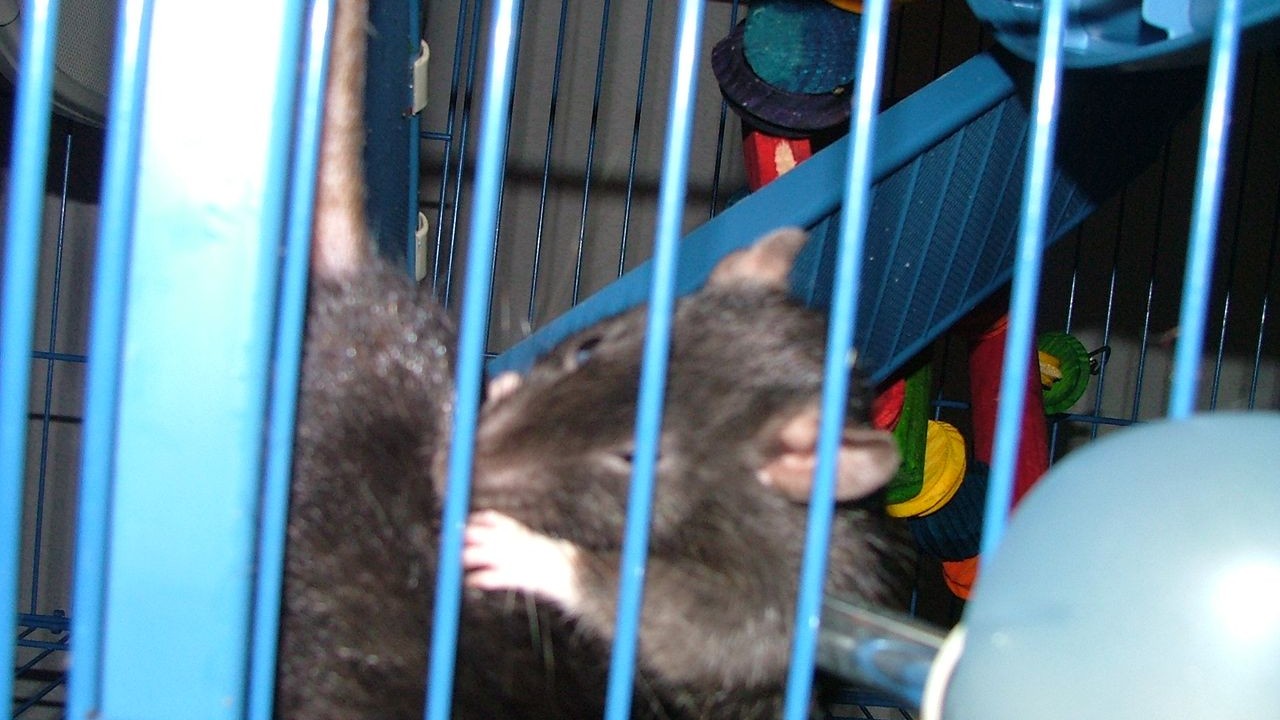 DSCF3775.JPG