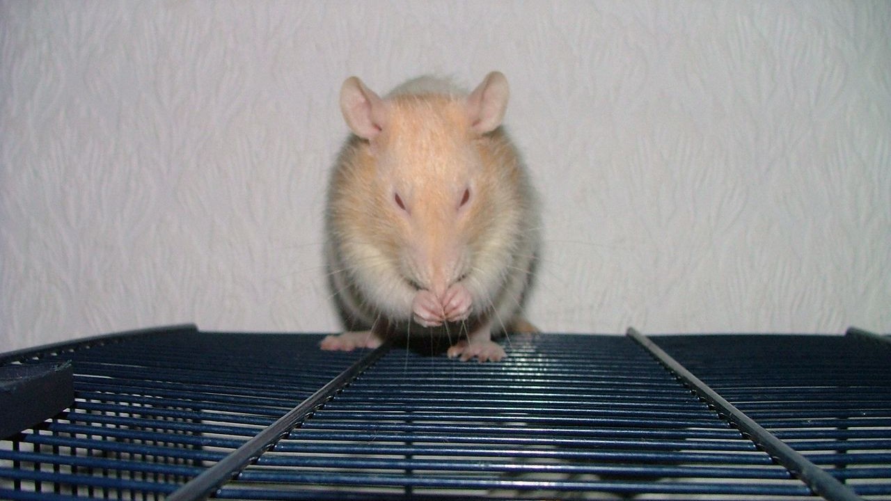 DSCF3678.JPG