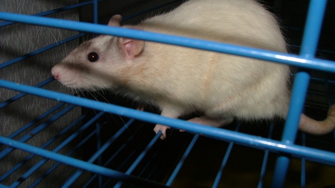 DSCF3878.JPG