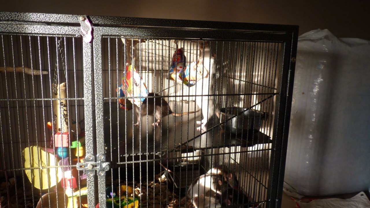 P1060007.JPG