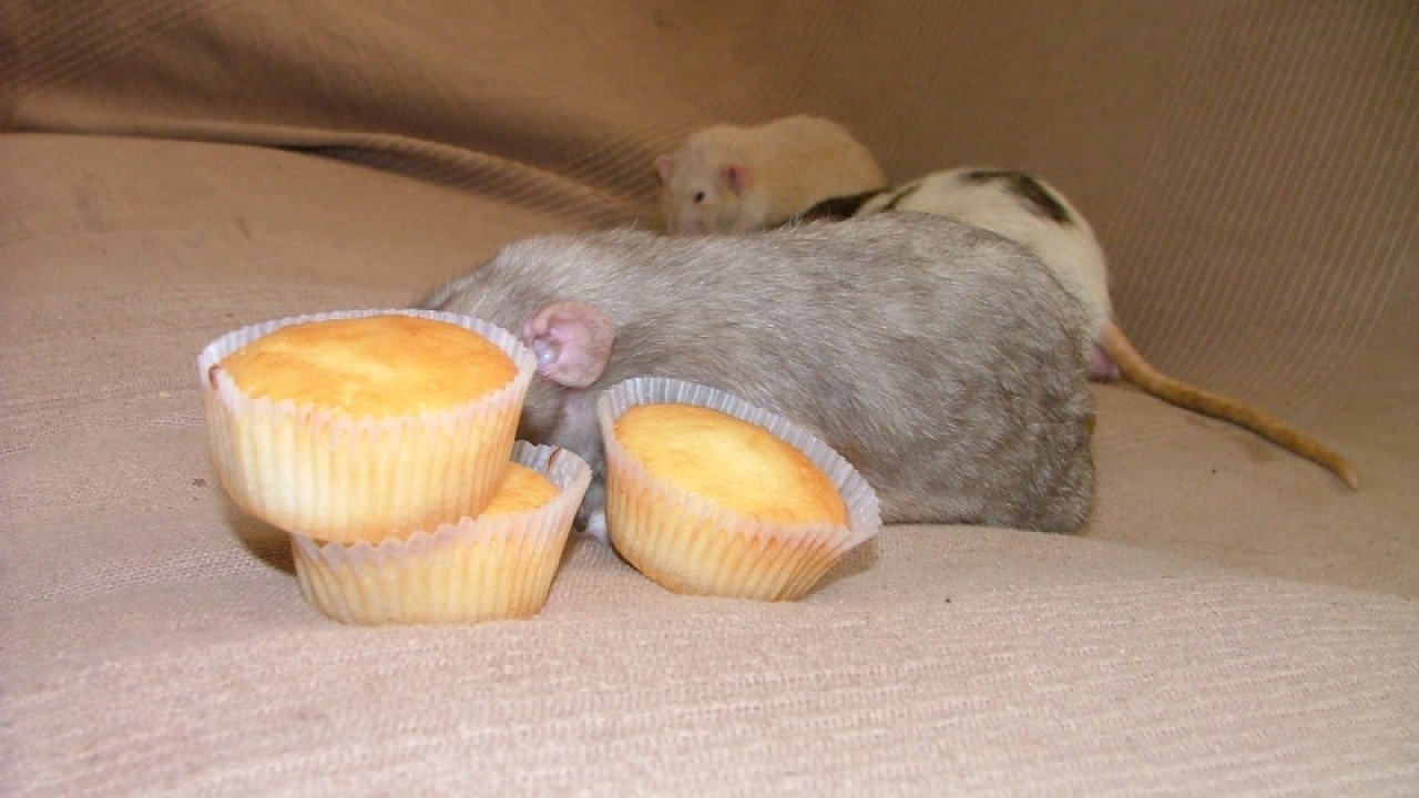 dscf6879.jpg