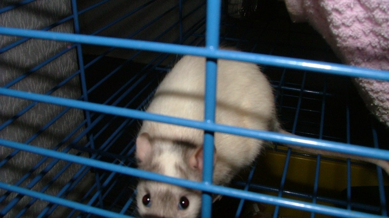 DSCF3877.JPG