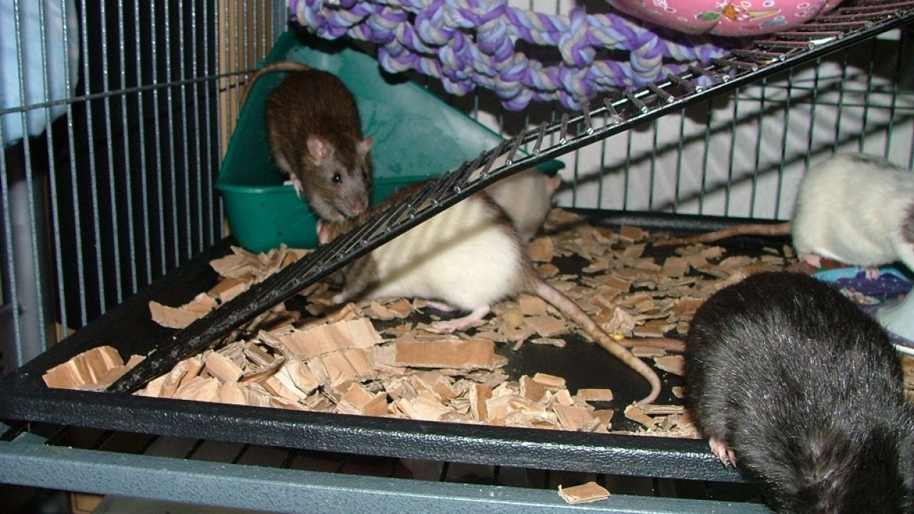 dscf5830.jpg