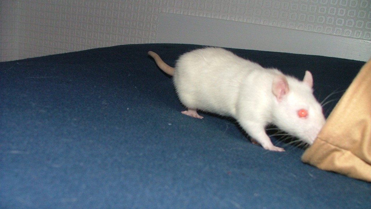 DSCF3950.JPG