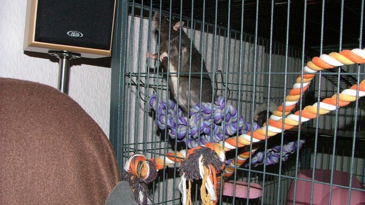 DSCF5571.JPG