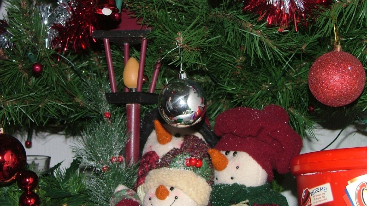 dscf6694.jpg