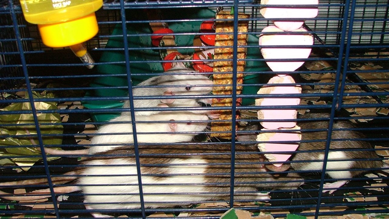DSCF6749.JPG