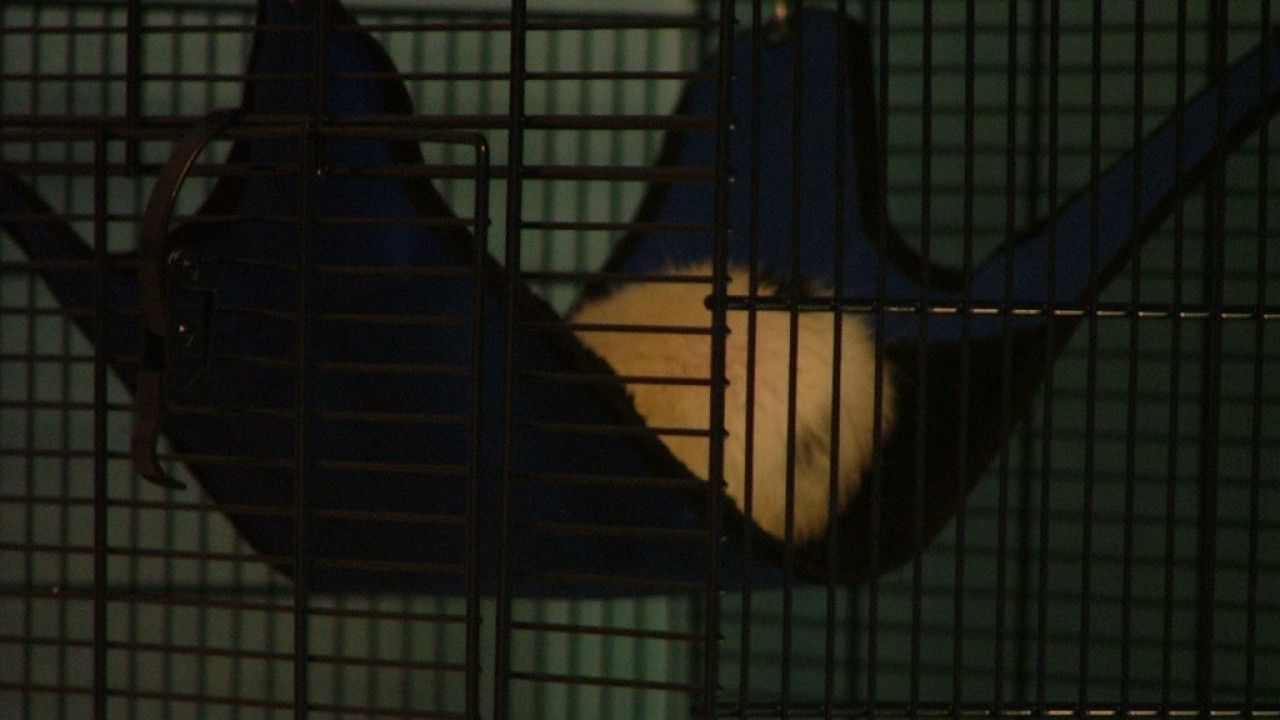 DSCF1523.JPG