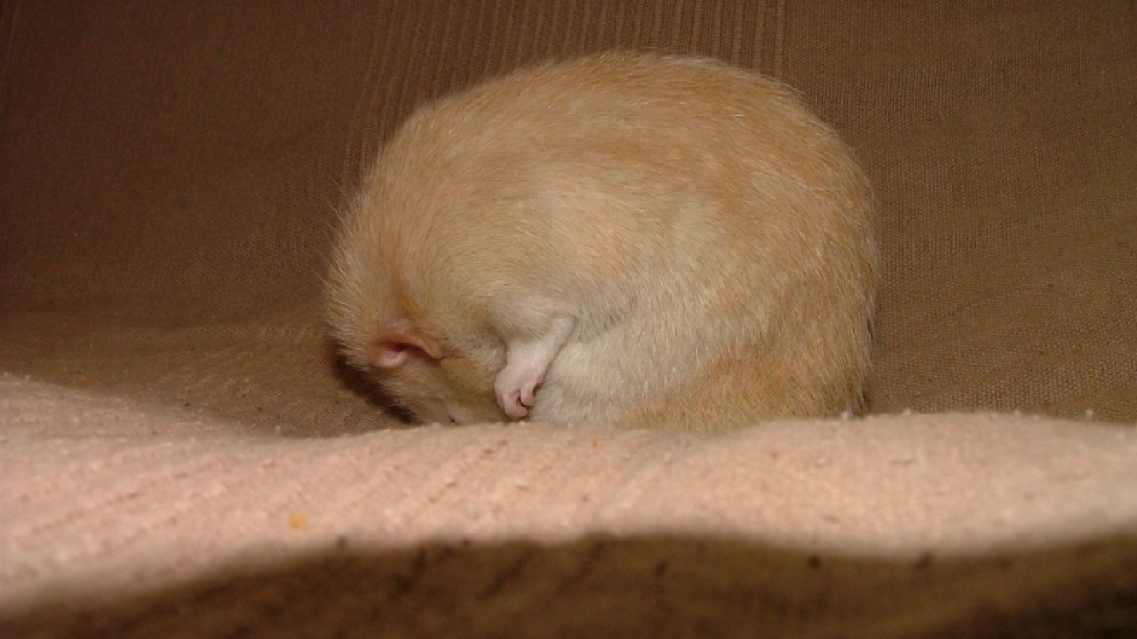 dscf6897.jpg