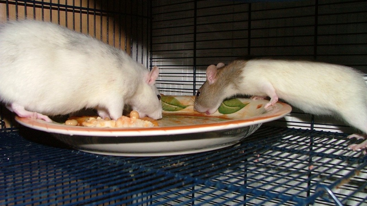 DSCF2978.JPG
