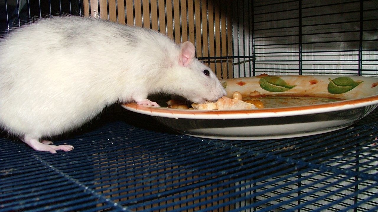 DSCF2976.JPG