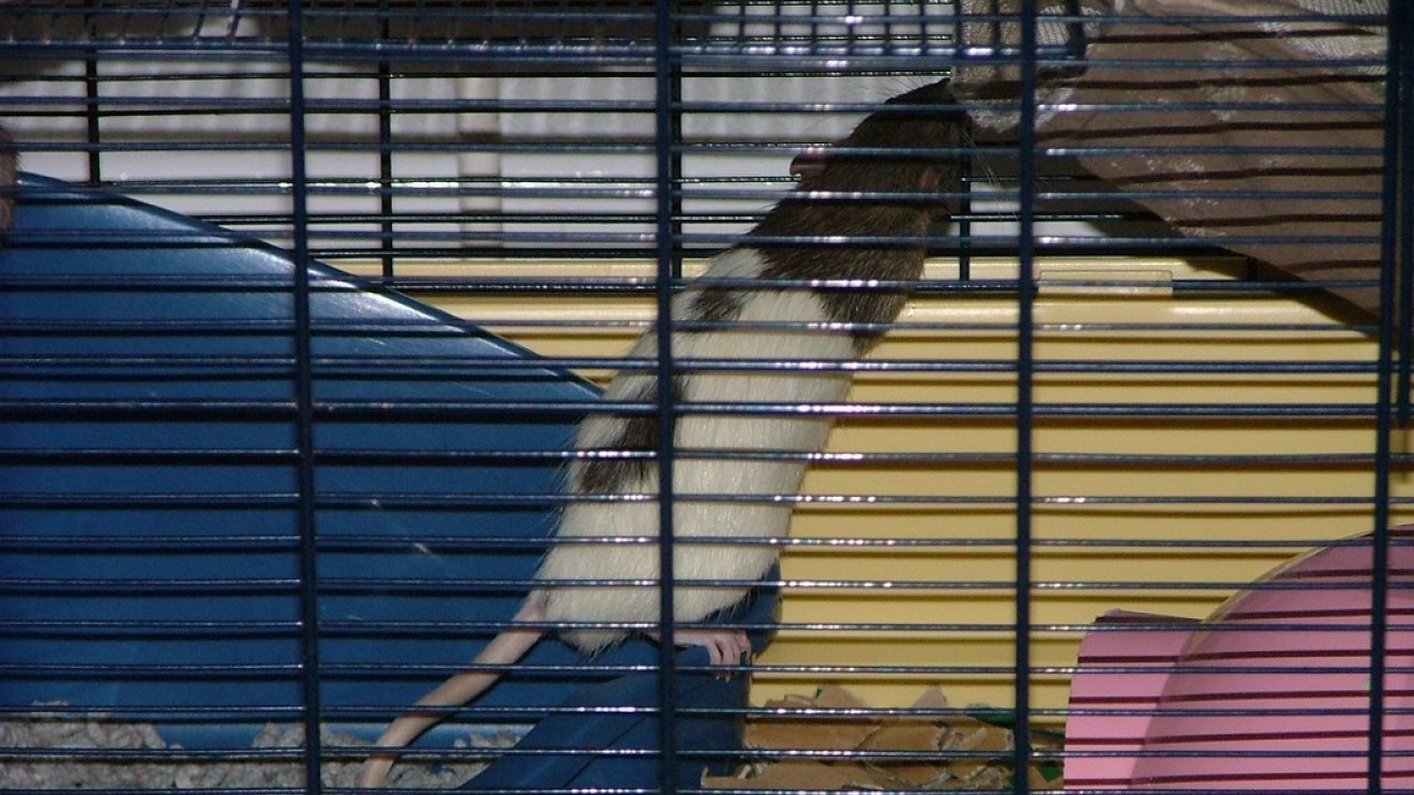dscf6055.jpg