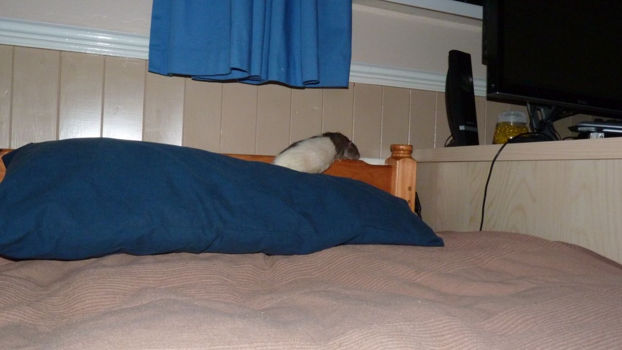 P1000374.JPG