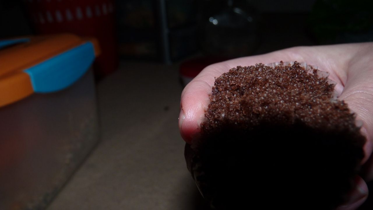 P1020432.JPG